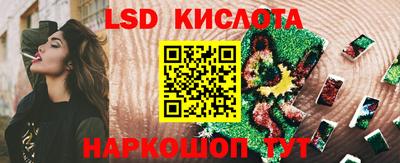 прущие грибы Пенза