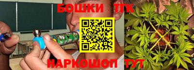 прущие грибы Пенза